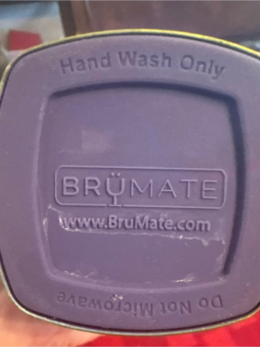 Iridescent Purple Stainless Water Bottle - brumate